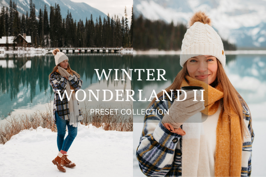 Winter Wonderland II PREMIUM Preset Collection (10 Presets)